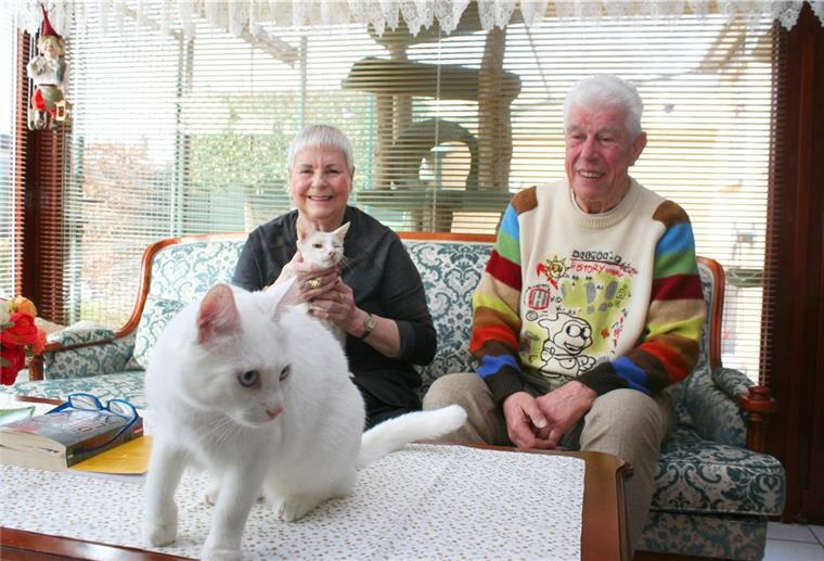 ingrid-und-hans-juergen-domhardt-lieben-katzen-wie-den-100095